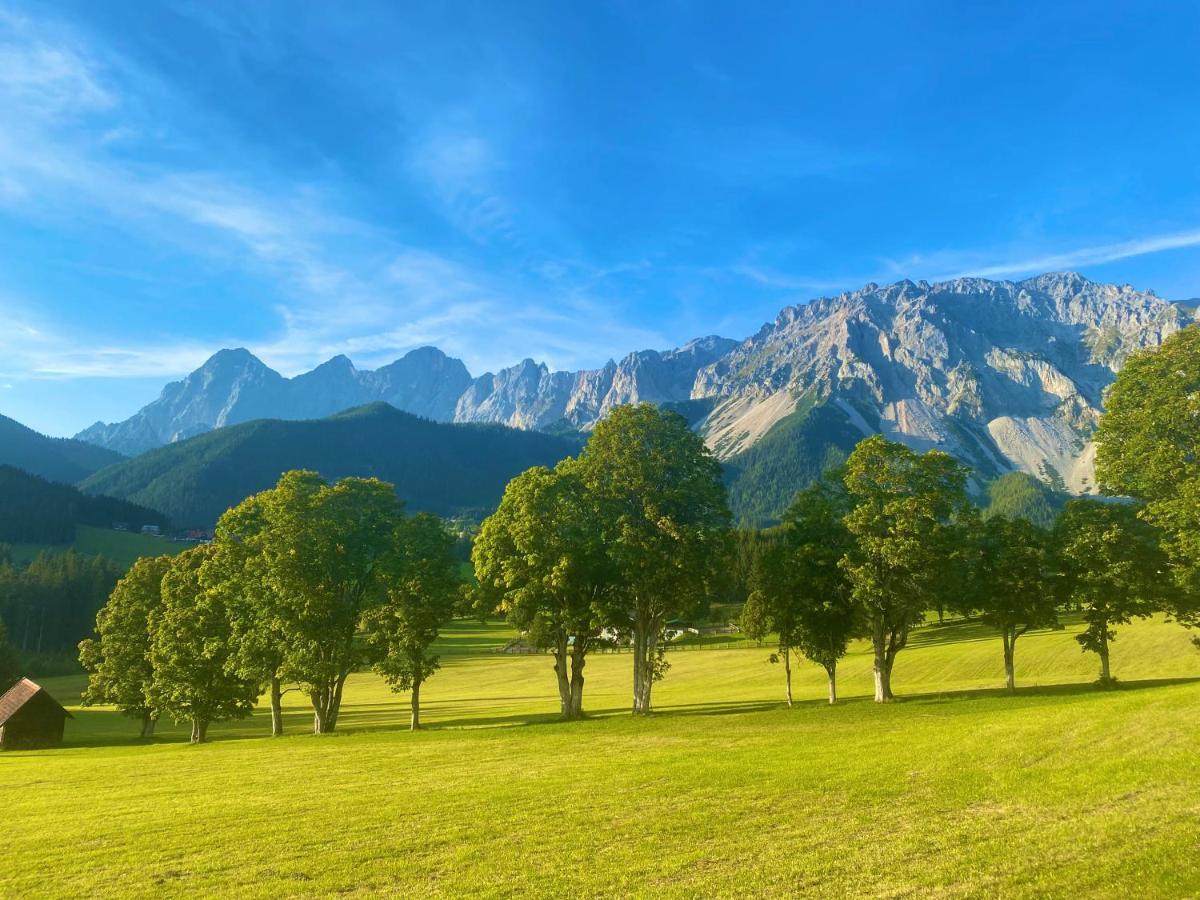 Appartement Steinfisch Ramsau am Dachstein Εξωτερικό φωτογραφία