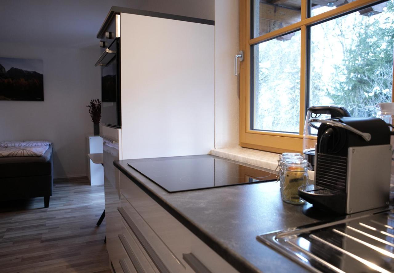Appartement Steinfisch Ramsau am Dachstein Εξωτερικό φωτογραφία
