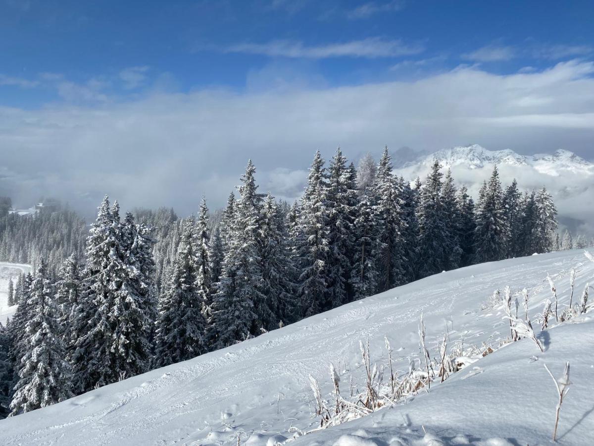 Appartement Steinfisch Ramsau am Dachstein Εξωτερικό φωτογραφία