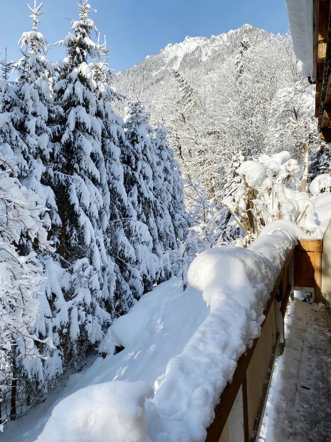 Appartement Steinfisch Ramsau am Dachstein Εξωτερικό φωτογραφία