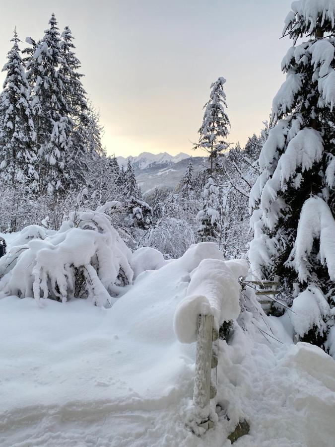 Appartement Steinfisch Ramsau am Dachstein Εξωτερικό φωτογραφία