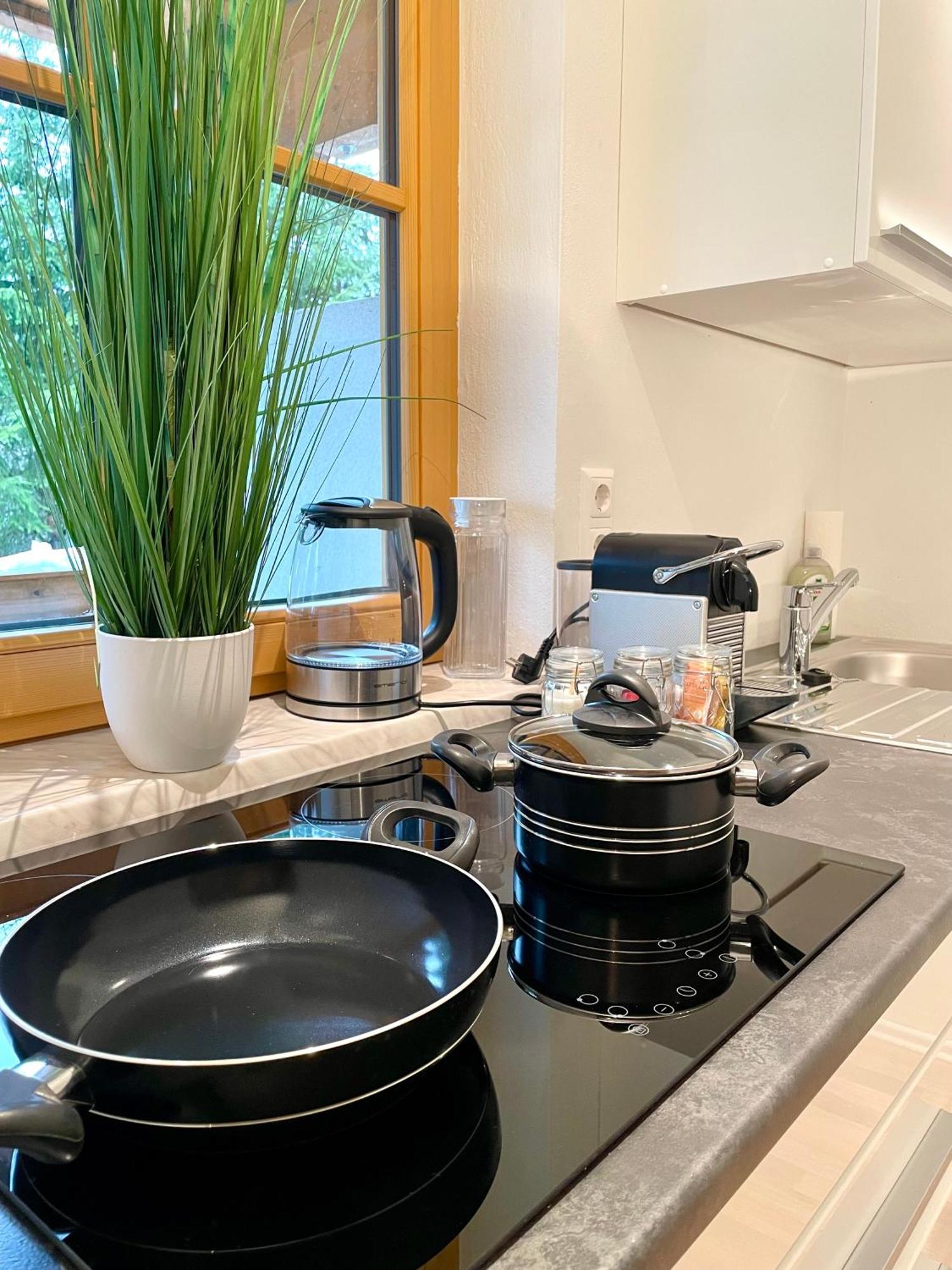 Appartement Steinfisch Ramsau am Dachstein Εξωτερικό φωτογραφία