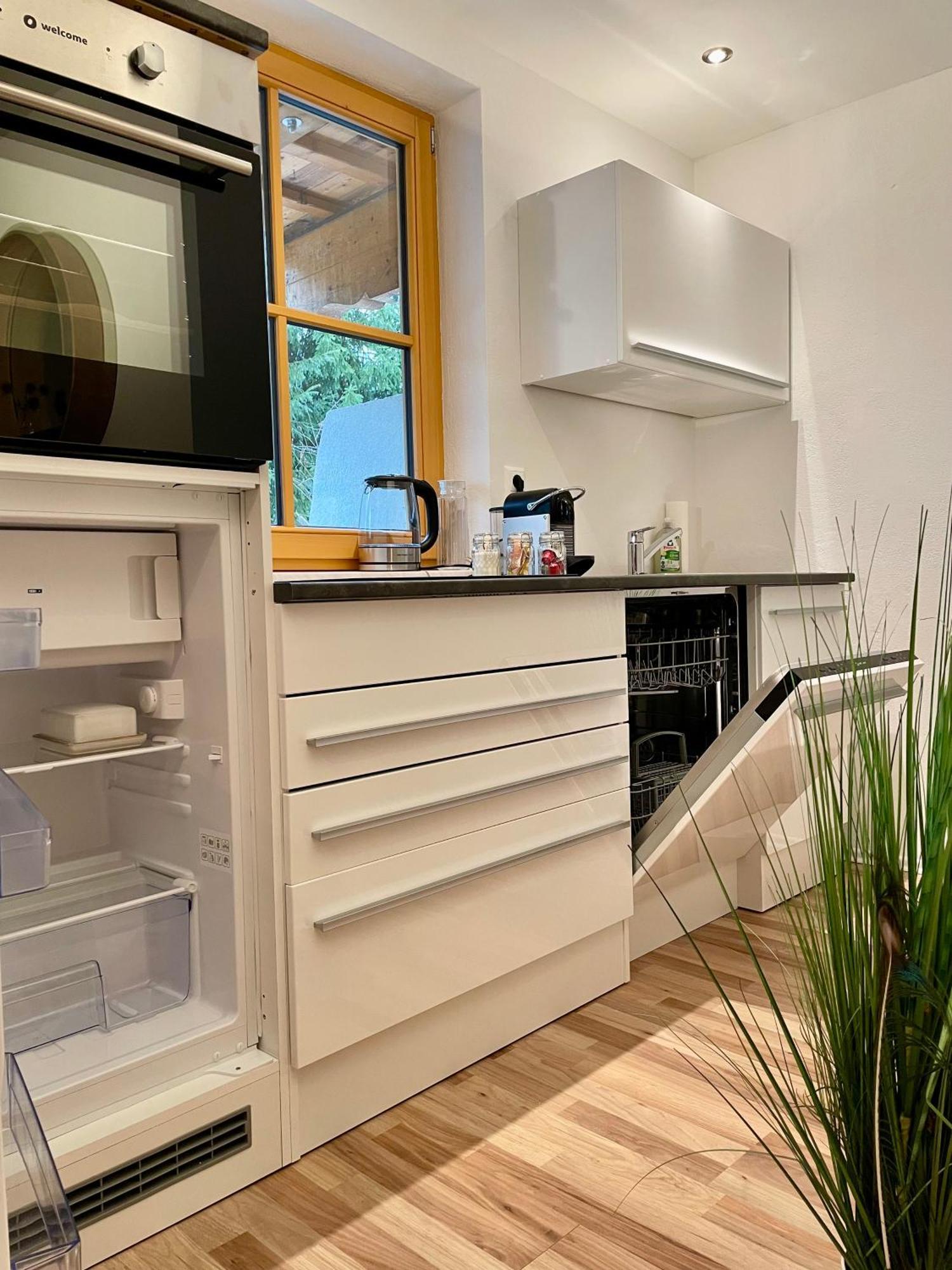 Appartement Steinfisch Ramsau am Dachstein Εξωτερικό φωτογραφία