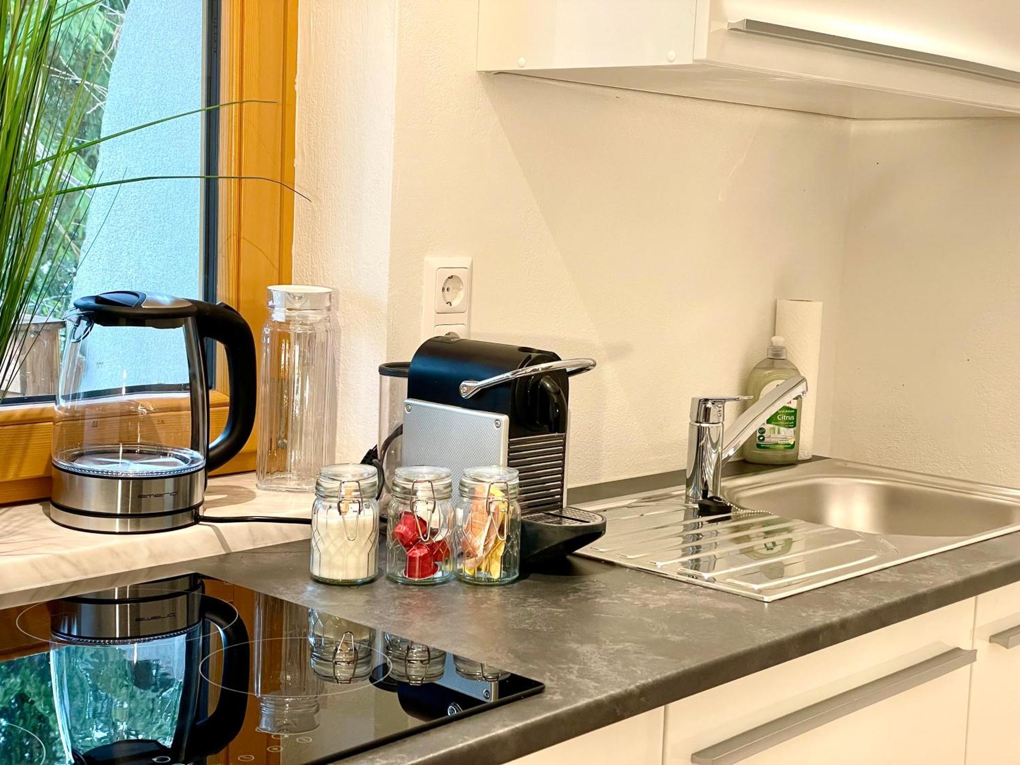Appartement Steinfisch Ramsau am Dachstein Εξωτερικό φωτογραφία